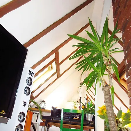 Vosges Apartment